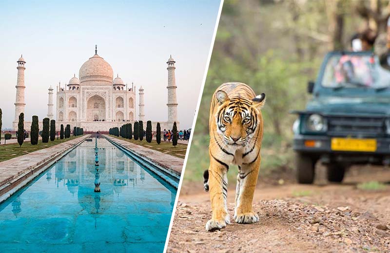 taj with tiger tour package