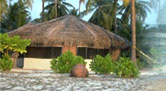 South India Extensive Tour