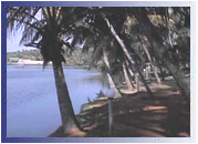 Allepey Beach, Kerala Travel Guide