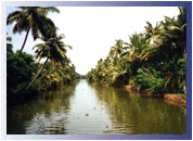 Cochin Backwater, Kerala Travel Guide
