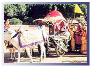 Marwar Festival, Jodhpur Tour
