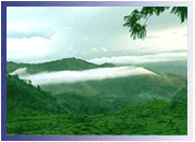 Munnar Heritage, Kerala Travel Guide