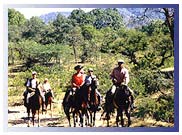 Samod Bagh, Samod Tour Packages