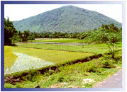 Tamilnadu Heritage, Tamilnadu Travel Guide