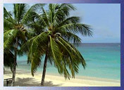 Beach, Goa Beach Tour