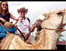Camel Safari Tour 