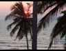 South India Extensive Tour
