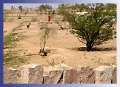 Desert Jaisalmer, Rural Rajasthan Tour