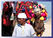 Fair, Pushkar Travel Vacations